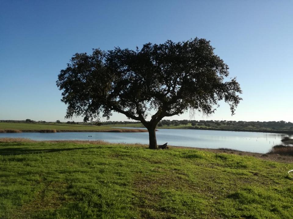 Monte Da Figueira Villa Amareleja Eksteriør billede