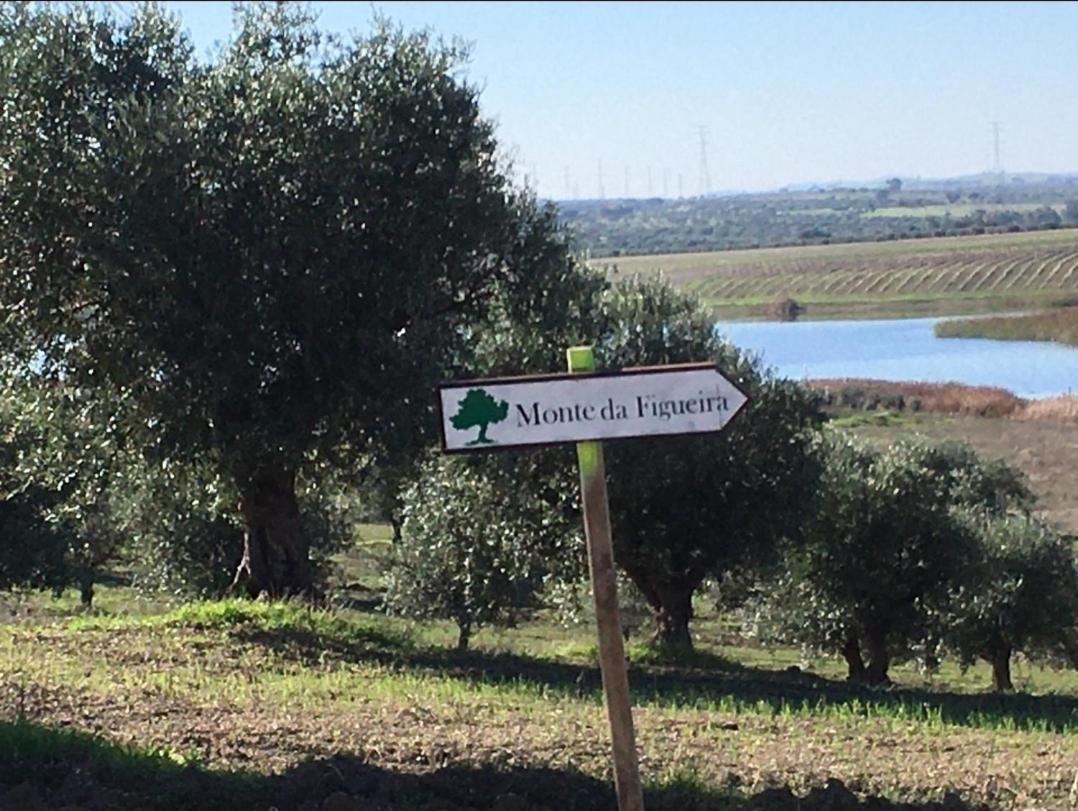Monte Da Figueira Villa Amareleja Eksteriør billede
