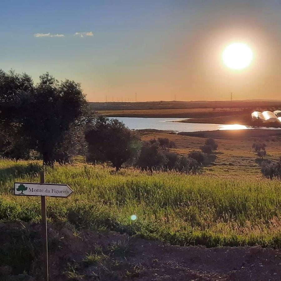 Monte Da Figueira Villa Amareleja Eksteriør billede
