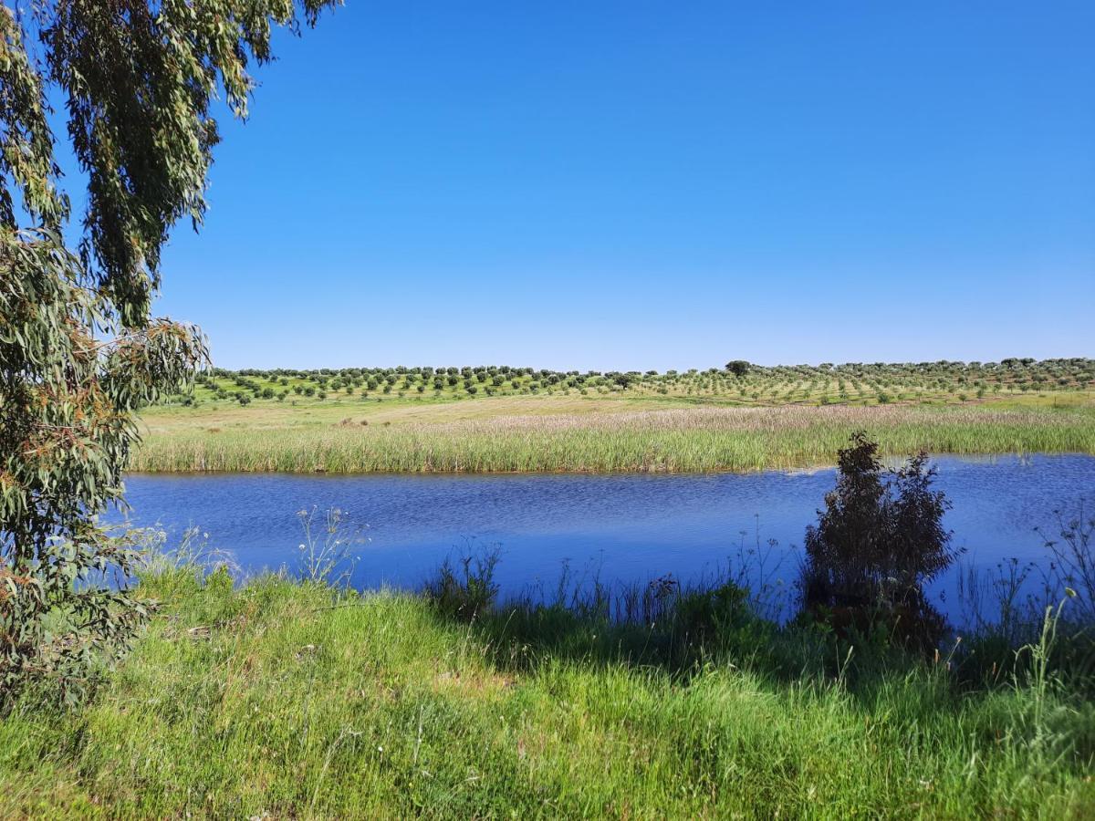 Monte Da Figueira Villa Amareleja Eksteriør billede
